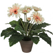 Planta Artificial - Gerbera Crema - MICA